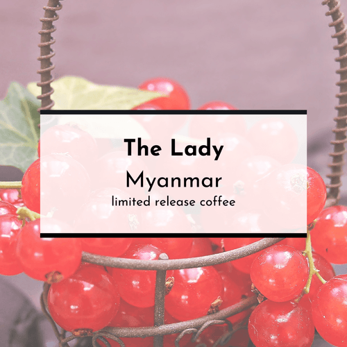 The Lady, Myanmar - Pippa's London