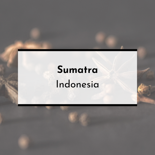 Sumatra, Indonesia - Pippa's London