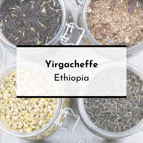 Yirgacheffe, Ethiopia - Pippa's London
