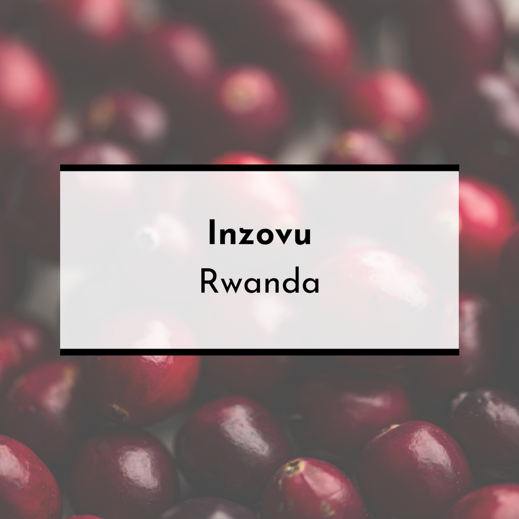 Inzovu, Rwanda - Pippa's London